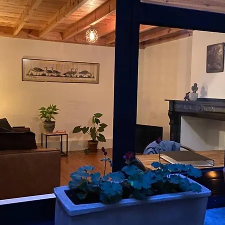 דירה Duplex In Historical Centre With Private Courtyard אנטוורפן