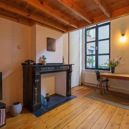 Duplex In Historical Centre With Private Courtyard דירה אנטוורפן
