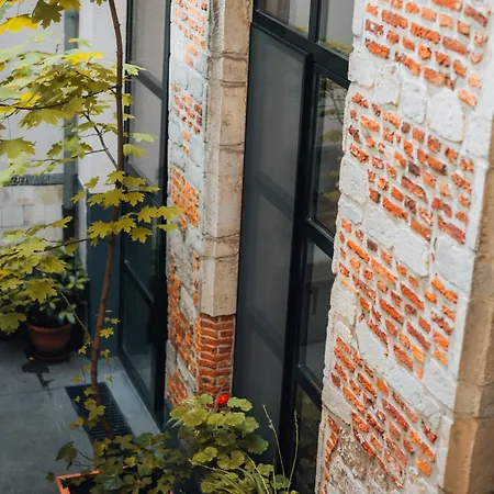 Duplex In Historical Centre With Private Courtyard דירה אנטוורפן